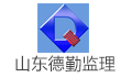山东德勤招标评估造价咨询有限公司LOGO