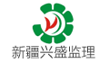 新疆兴盛宏安项目管理有限公司LOGO
